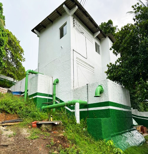 Verde 1